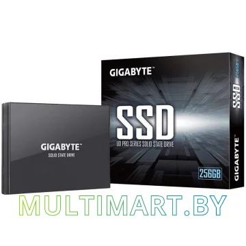 SSD диск Gigabyte UD Pro 256GB (GP-GSTFS30256GTTD) картинка 5